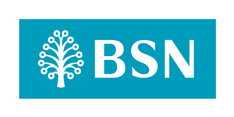 BSN Logo PNG Vector